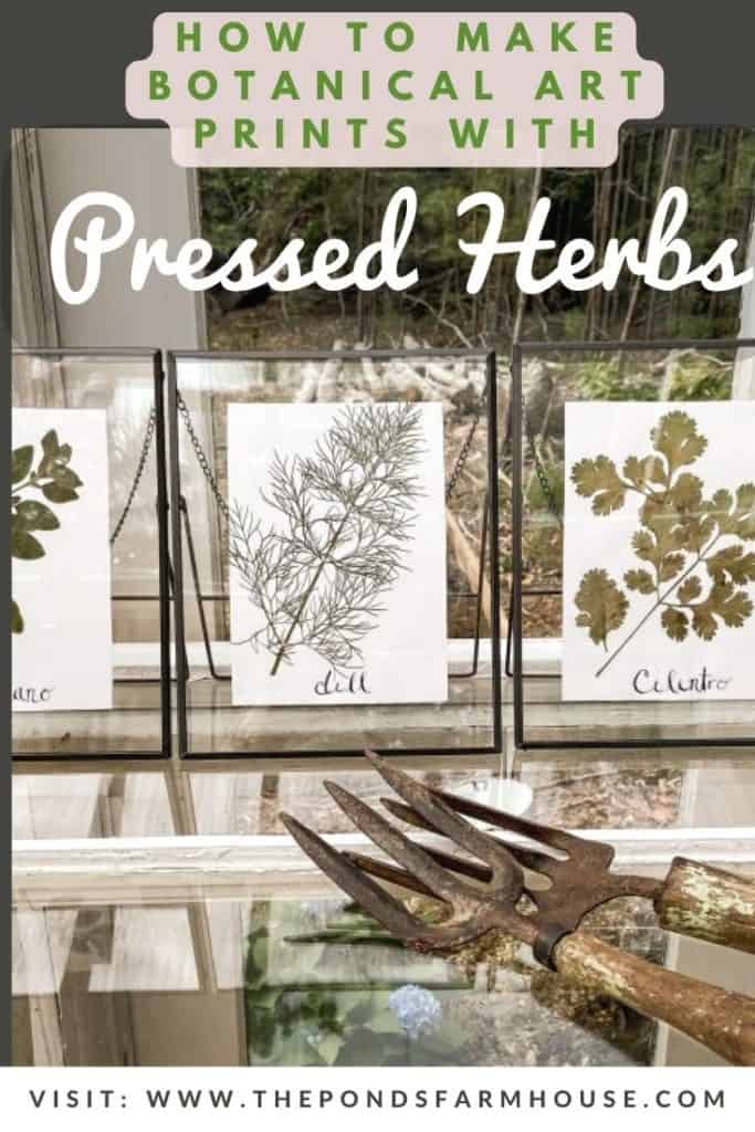 How to Press Herbs to make Botanical Art Prints.  Farmhouse Style botanical art using fresh herbs that have been pressed.