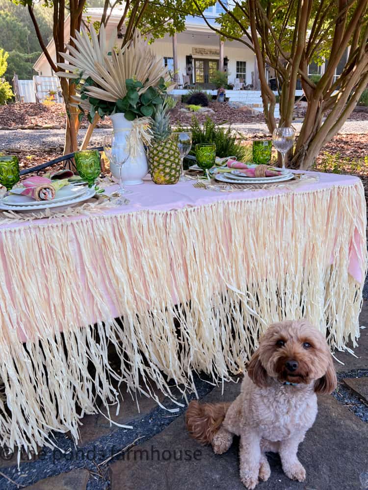 Luau table setting, Goldendoodle, Luau setting, Pineapple centerpiece 