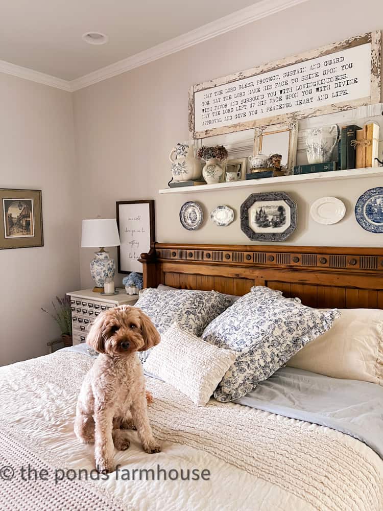 Rudy loves the shades of blue in the dishes, lamp, pitchers and pillows - cozy bedding.