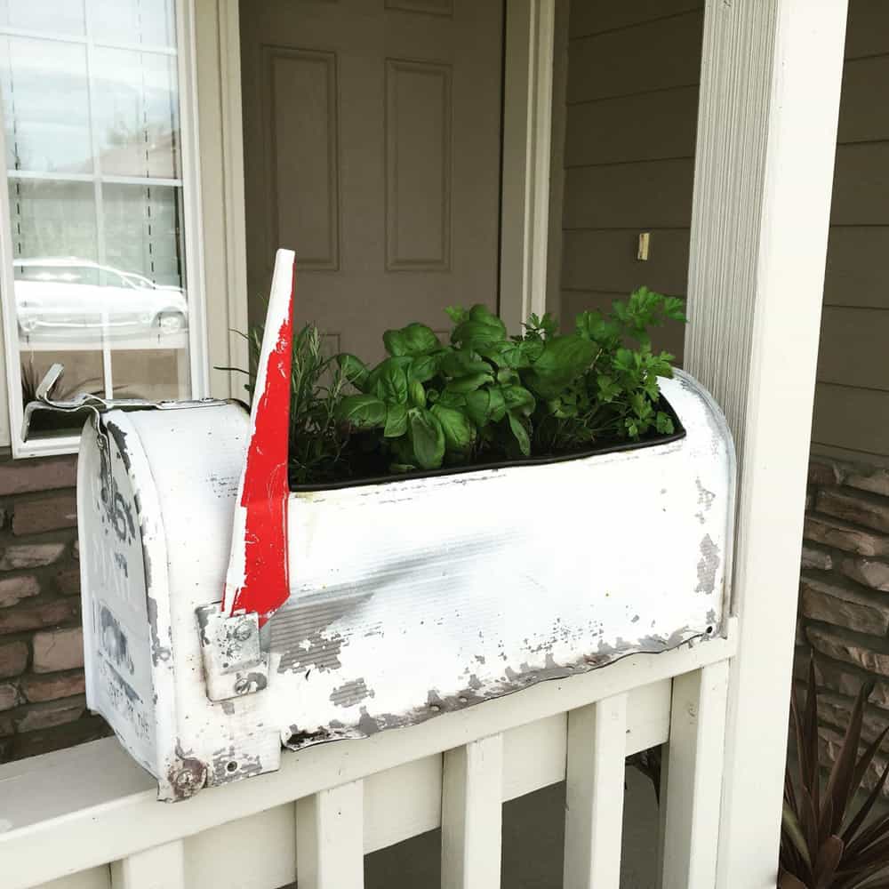 Unique Container for Flowers or herbs is a vintage mailbox.  Unique Herb Planter 