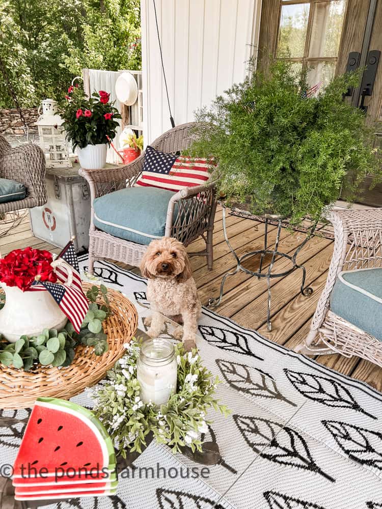 4th of July porch decorations with American flags, thrift store finds, and mini golden doodle with vintage wicker chairs