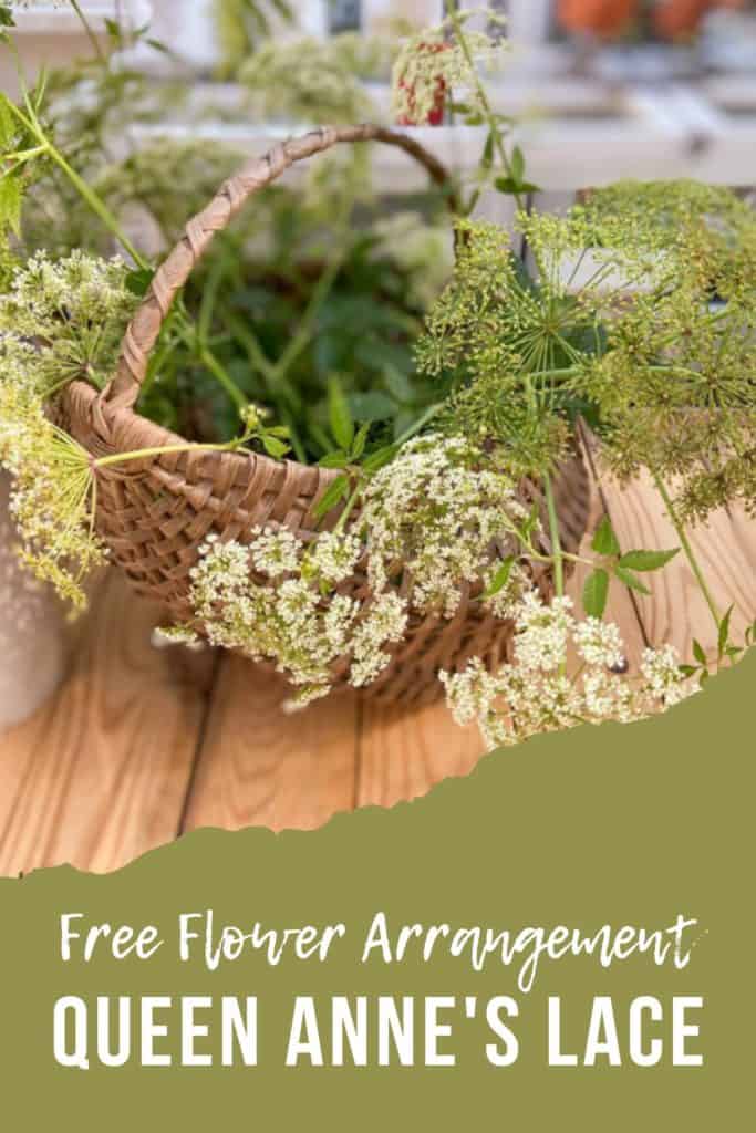 Free Wildflower Arrangement with queen anne's lace and wild fern
