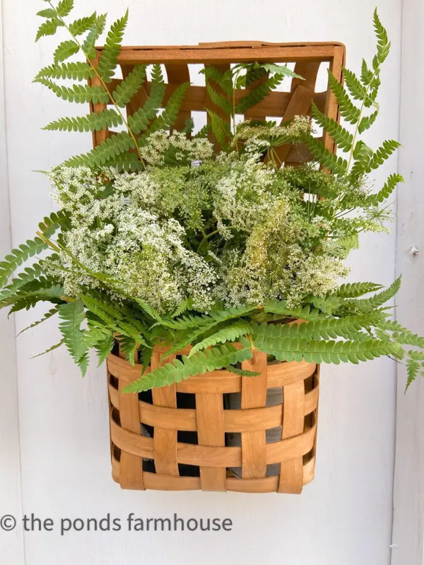 Wild Queen Annes Lace and Wild fern combine in a woven wall basket for a beautiful arrangement for summer.