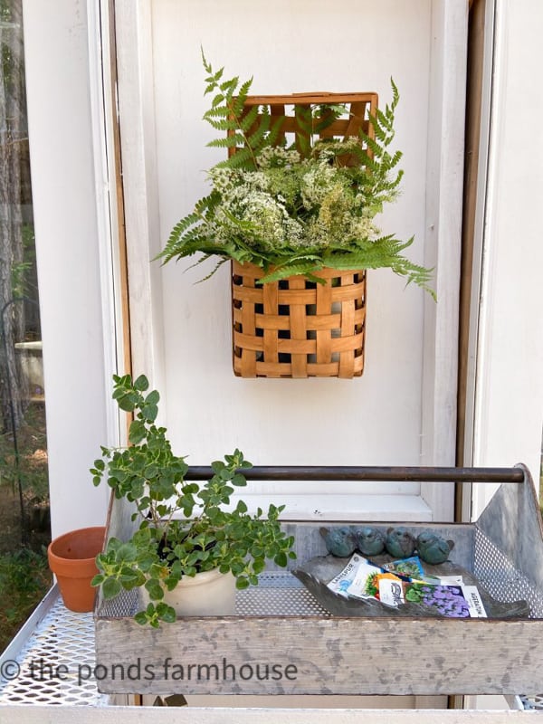 Rustic tobacco basket wall planter in greenhouse with FREE Wildflower display.