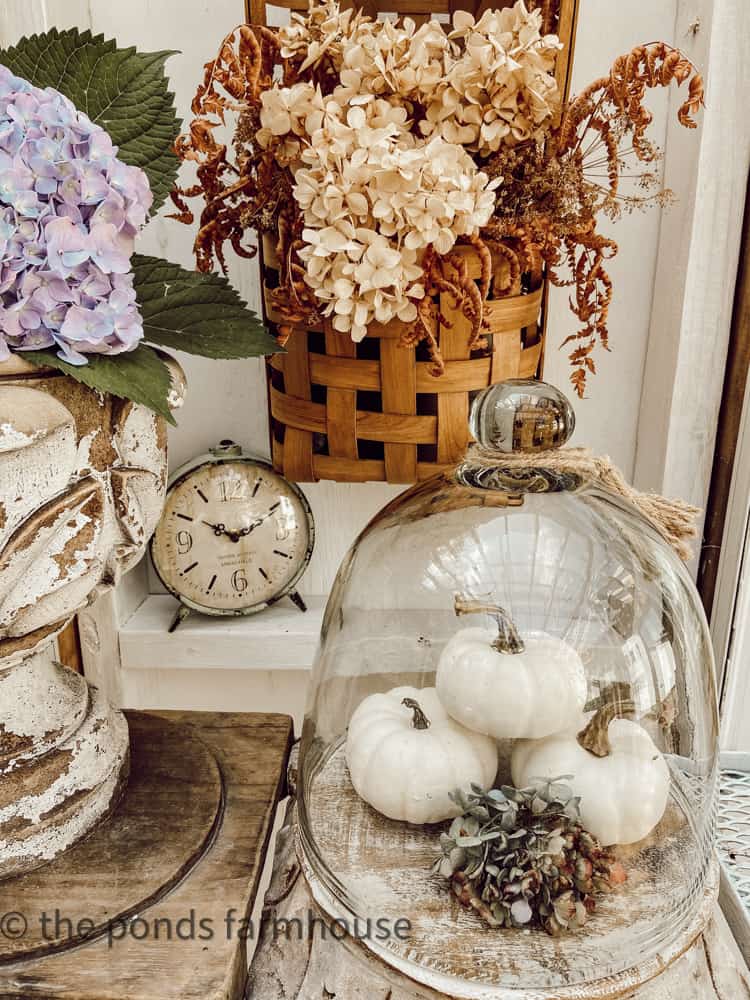Allow wildflower arrangement to dry and use for fall arrangement with dried hydrangeas added.  Pumpkin under a cloche