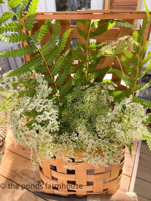 Add queen anne's lace to the front of the ferns in a tobacco basket style wall planter.