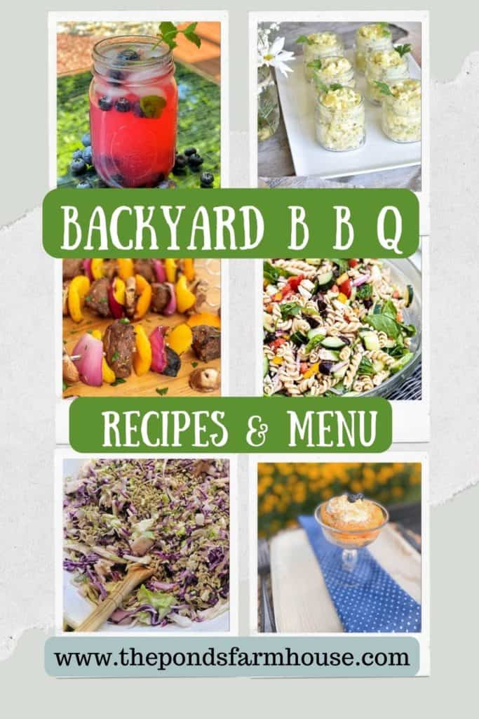 Backyard B B Q and outdoor Cookout Recipes for your next Alfresco Dinner Party.  