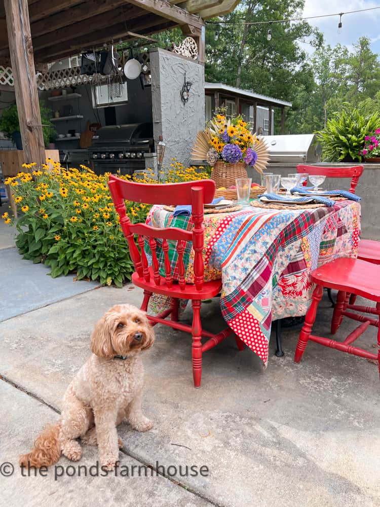 Patchwork Thrifted Quilt used as a tablecloth for outdoor dinner party.  Red chairs and feastive colored patchwork quilt.  