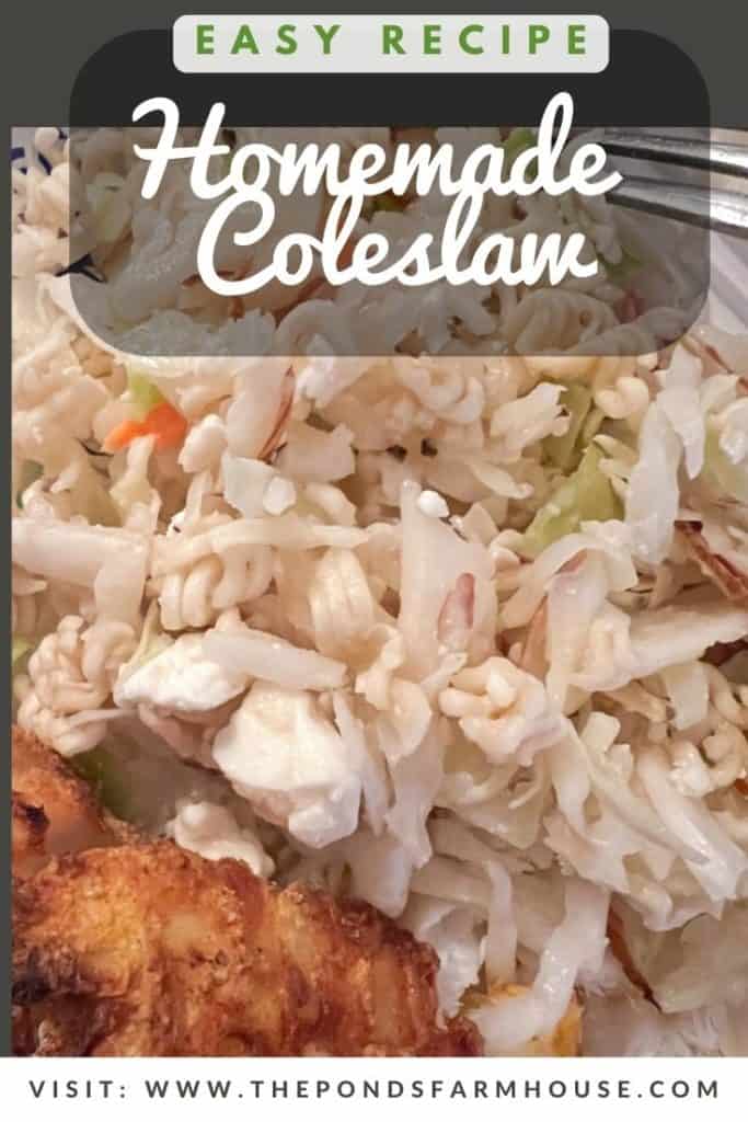Easy Homemade Coleslaw Recipe
