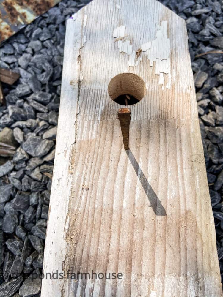 Make perch with a vintage nail reclaimed from old siding. 