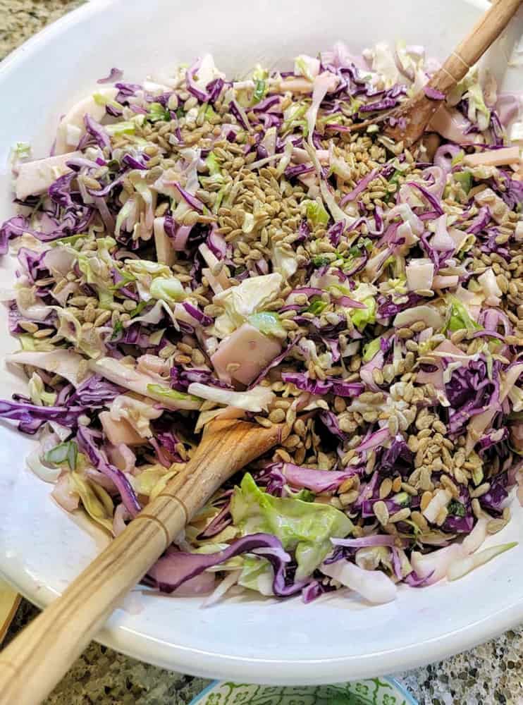 Crunchy Coleslaw Recipe that's great for outdoor B B Q Party.  Side dish for country barbecue 