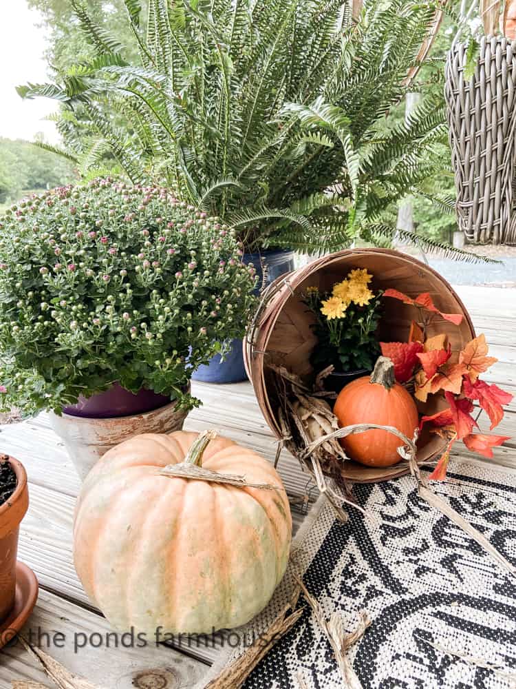 Fall Front Porch Tour with pumpkins and mums in fruit baskets 