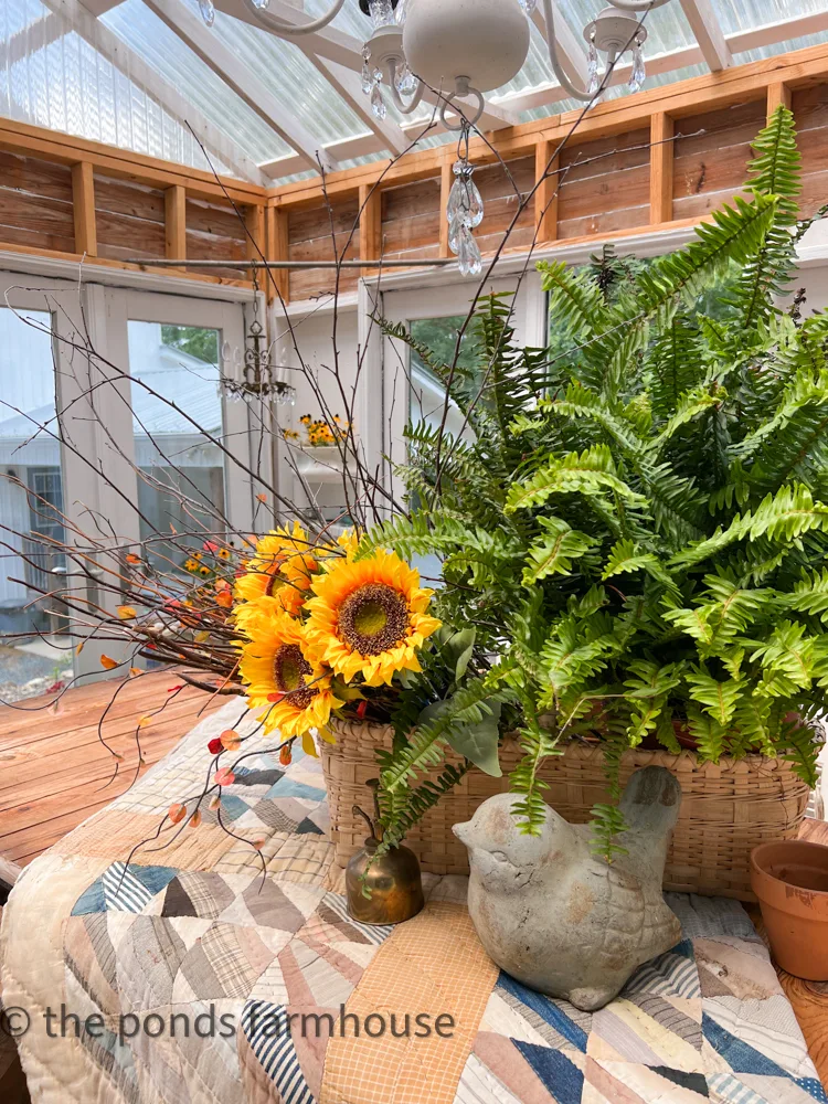 Sunflower Symbolism is happiness and sunshine perfect for the greenhouse late summer decor.  