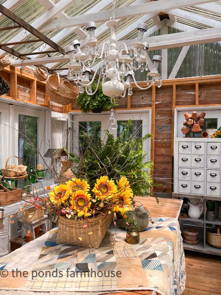 Repurposed Chandelier in Greenhouse filled for Sunflower season with faux floral for a farmhouse feel. 