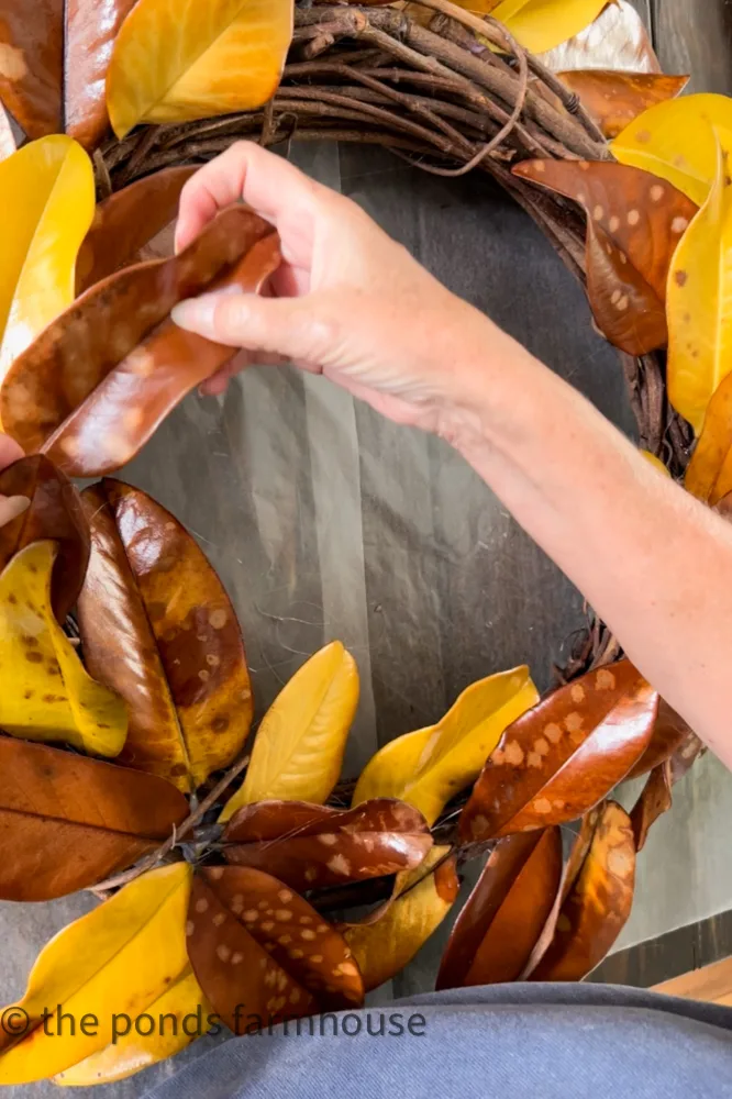 Fill a grapevine wreath with preserved magnolia leaves to make a cheap and easy budget friendly autumn wreath