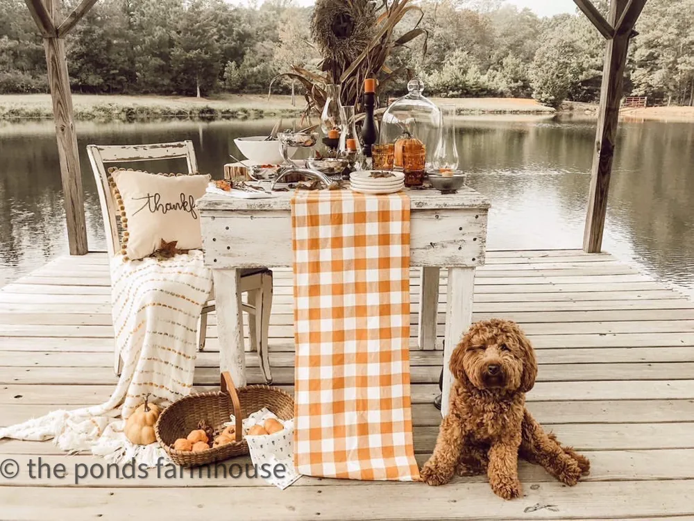 Dining Alfresco on the pier with fall tableware and cornstalks.  picnic basket filled with pumpkins and mini golden doodle Rudy. Ponds water feature
