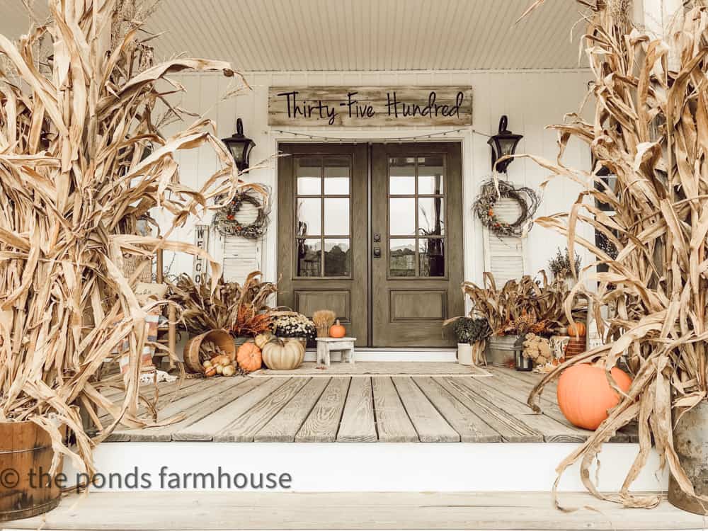 Modern Farmhouse Front Porch decorated for fall with pumpkins, mums and corn stalks.  