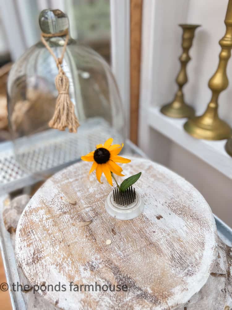 Single Black Eyed Susan bloom on vintage flower frog for farmhouse style late summer decorating.  Sunflower Colors 