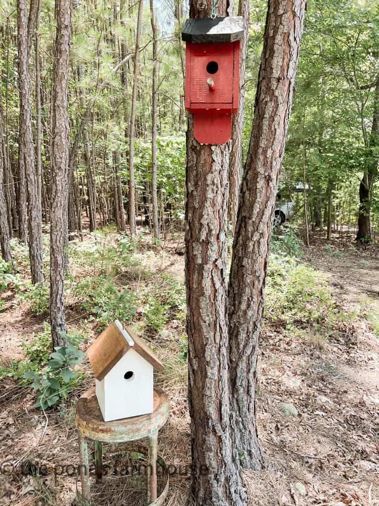 thrifted Handmade Birdhouse are an example of What Does Thrifted Mean.  Vintage Garden Decor Ideas