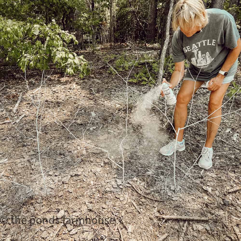 Painting foraged branches with white chalk spray paint to make fall arrangement.  