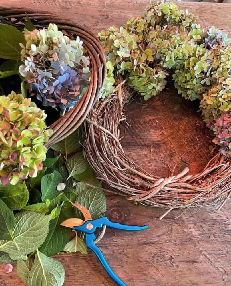 DIY Fall Hydrangea Wreath made with grapevine and free hydrangea blossoms.  Easy DIY Fall Home Decor.  
