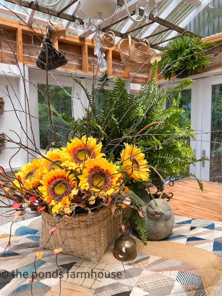 Decorating the Greenhouse  Sunflower colors for a last Summer Season Decorating Ideas and Sunflower Symbolism 