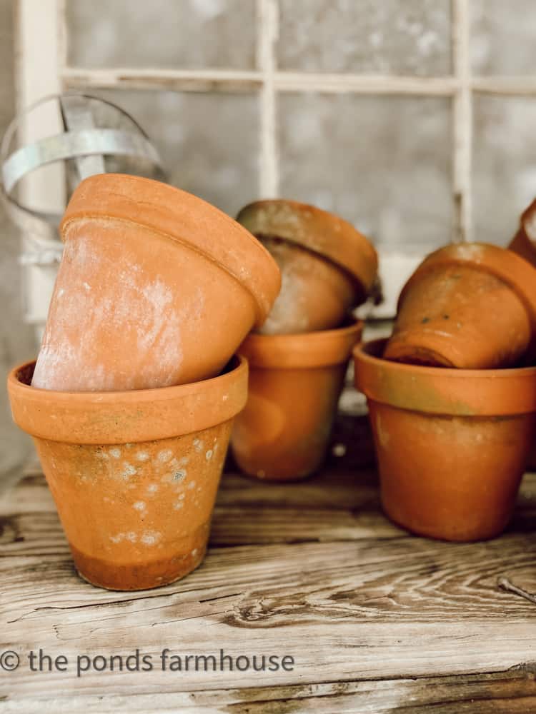 Vintage thrifted terra cotta pots