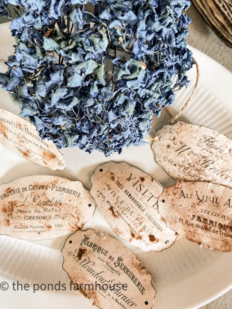 Vintage Bottle Labels on ironstone plate with dried hydrangea bloom. 