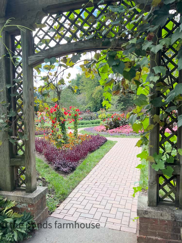 Arbor at Biltmore Gardens