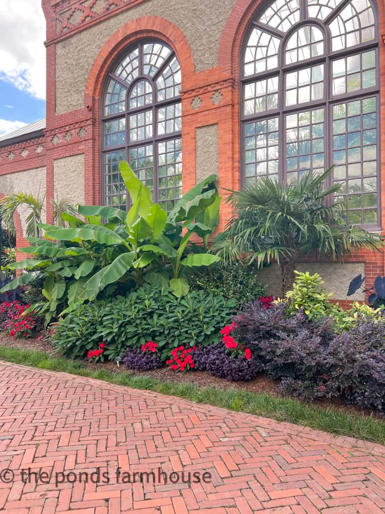 Conservatory at Biltmore Gardens and Estate.  