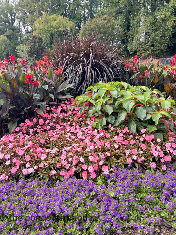 Biltmore Gardens beautiful blooms