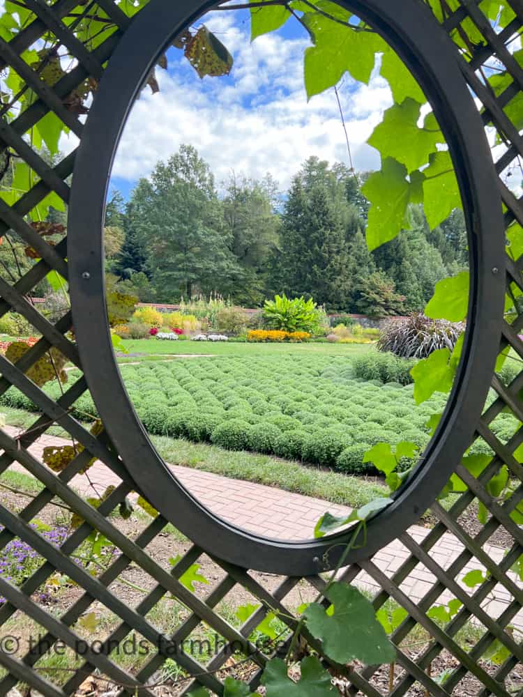 Arbor at Biltmore Gardens lovely grounds