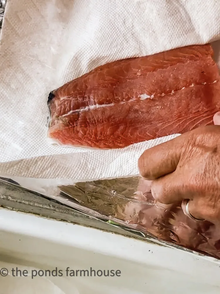 Dry Salmon after rinsing 
