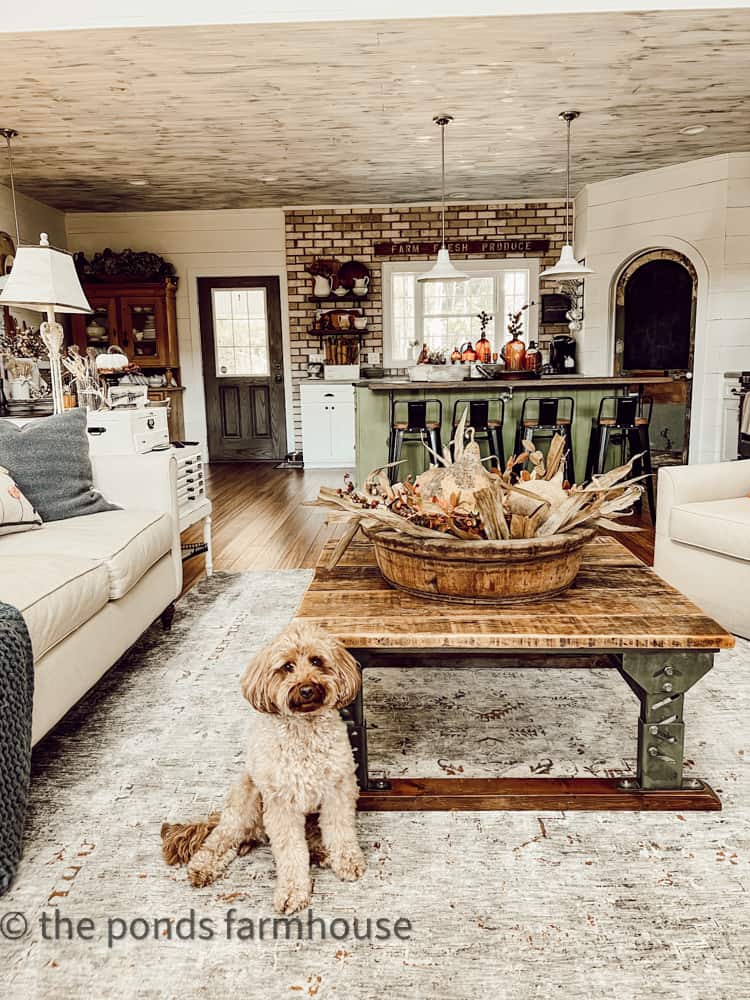 Mini Goldendoodle invites you on this Fall Home Tour of our Industrial Modern Farmhouse