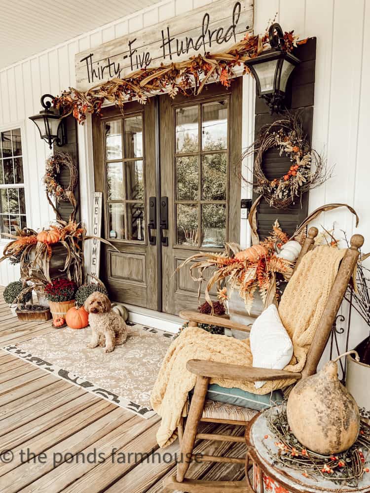 Rudy on front porch decorated for fall
