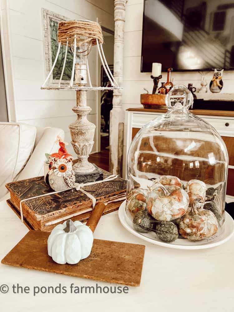 Napkin Decoupage Dollar Tree Pumpkins under a glass cloche in Living Area of Farmhouse