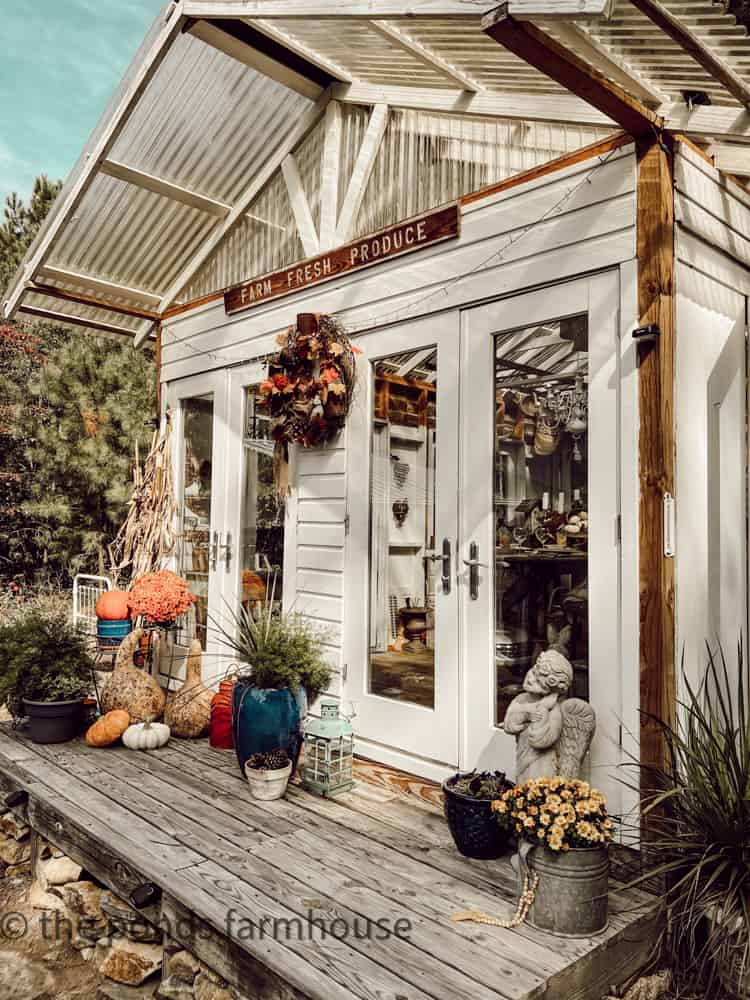 DIY Greenhouse decorated for fall with gourdes, DIY rusted can wreath, pumpkins and cornstalks