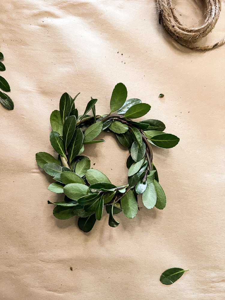 Mini-Boxwood Wreath for Christmas Decorations.