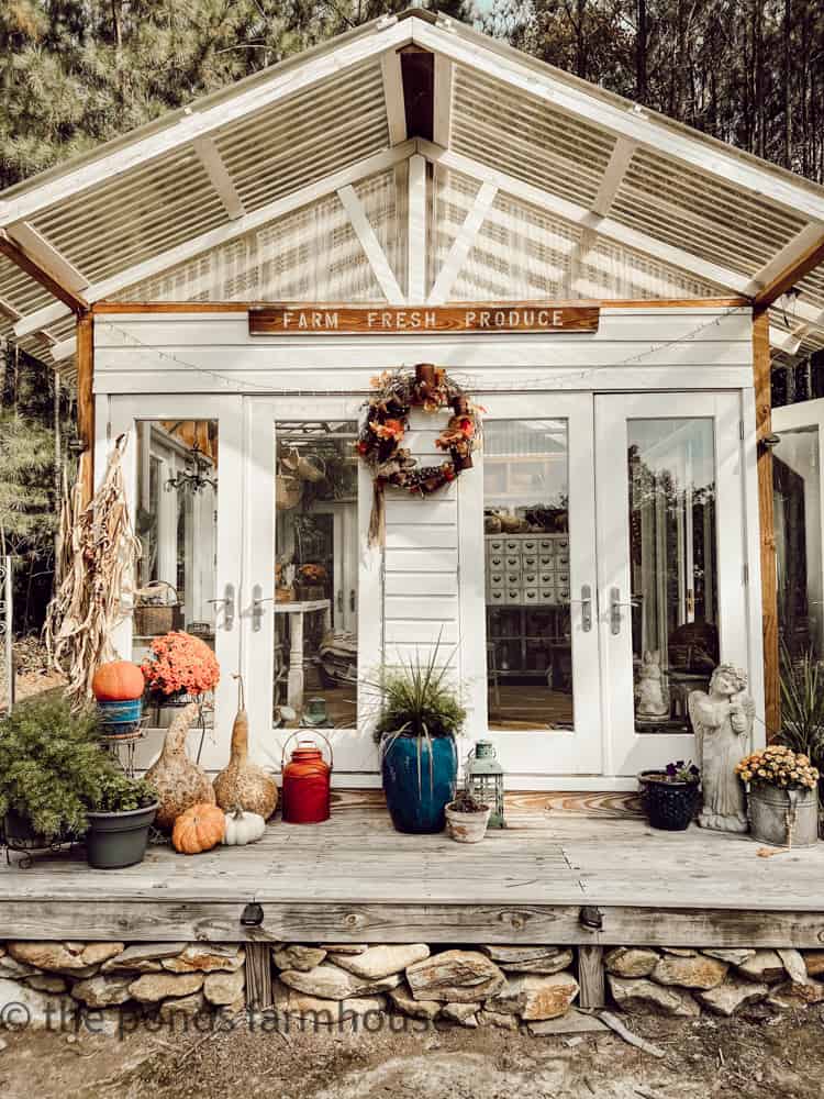 DIY Greenhouse decorated for fall with gourdes, DIY rusted can wreath, pumpkins and cornstalks