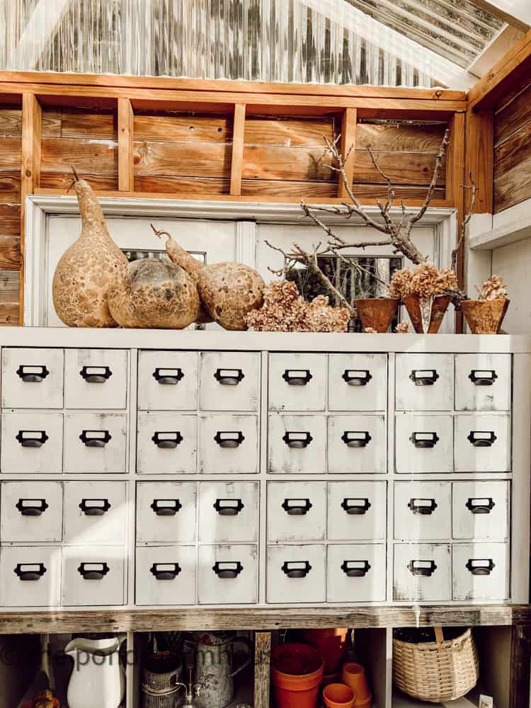 DIY Apothecary Cabinet with gourdes and dried hydrangeas & foraged branch.