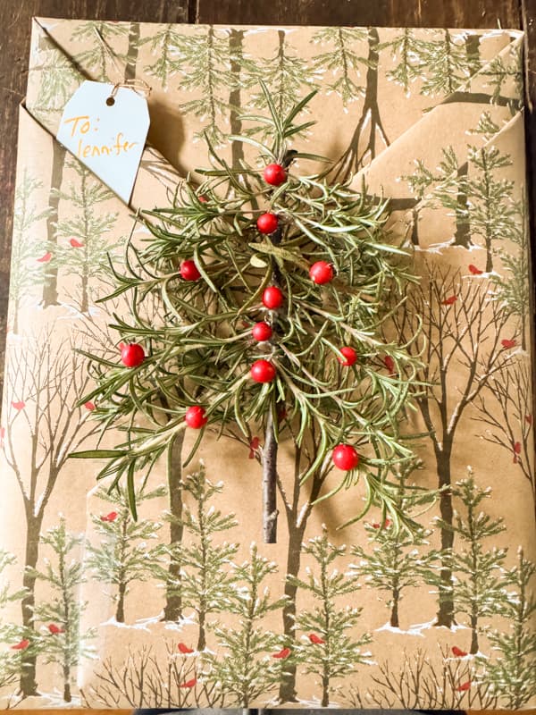 Rosemary Christmas tree on package
