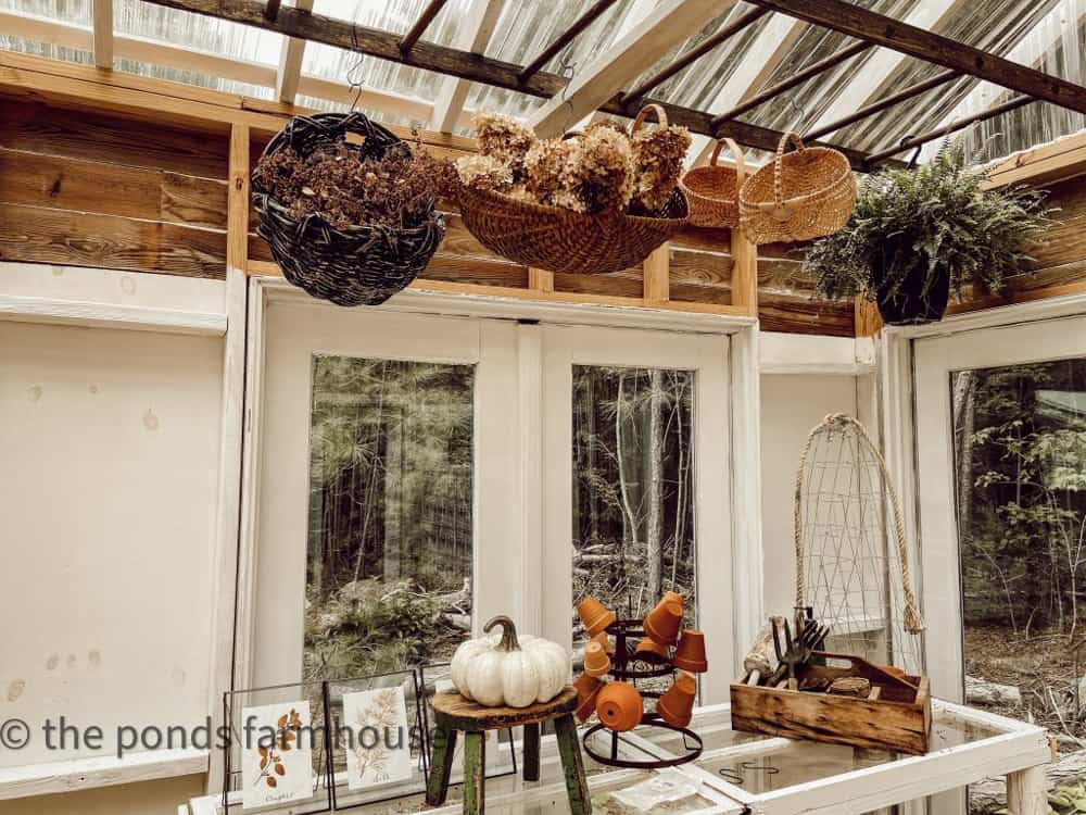 Rustic Ladder in Greenhouse/she shed