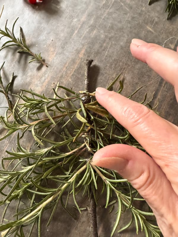 add rosemary stems to twig with hot glue