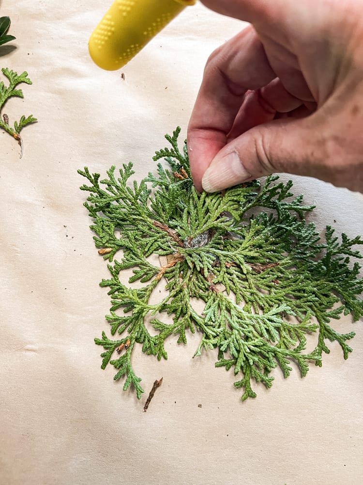 Fill cardboard circle with fresh Christmas Greenery to make an ornament.