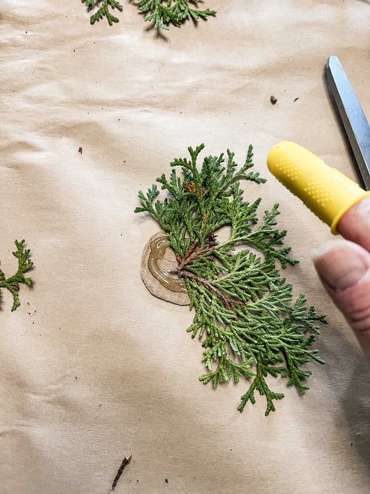 Add Hot Glue and Cedar to cardboard