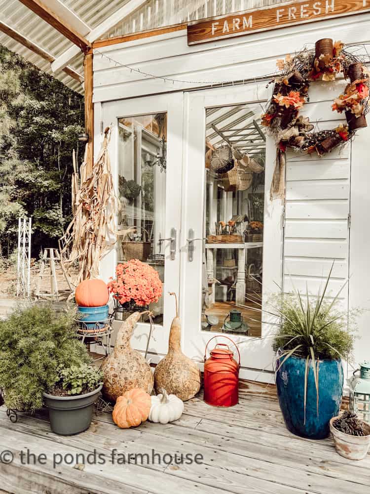 DIY She Shed decorated for fall with gourdes, DIY rusted can wreath, pumpkins and cornstalks