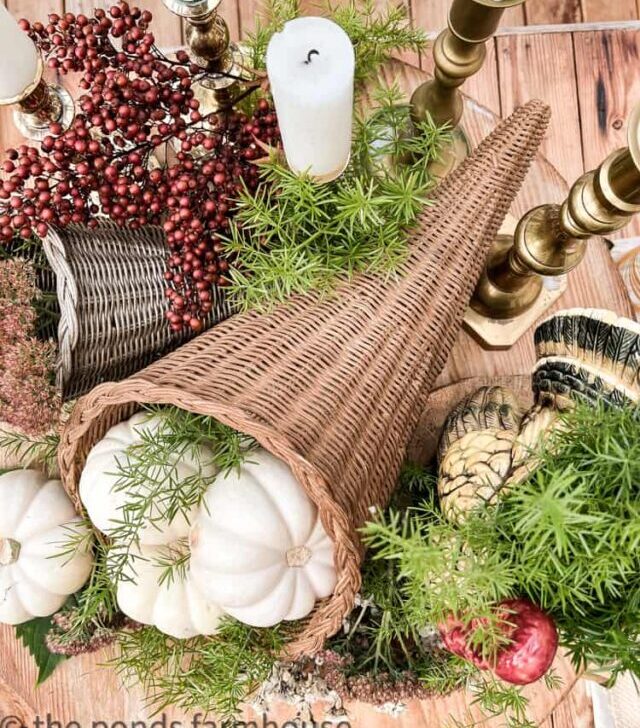 cropped-flat-lay-of-centerpiece-for-friendsgiving-brunch.jpg