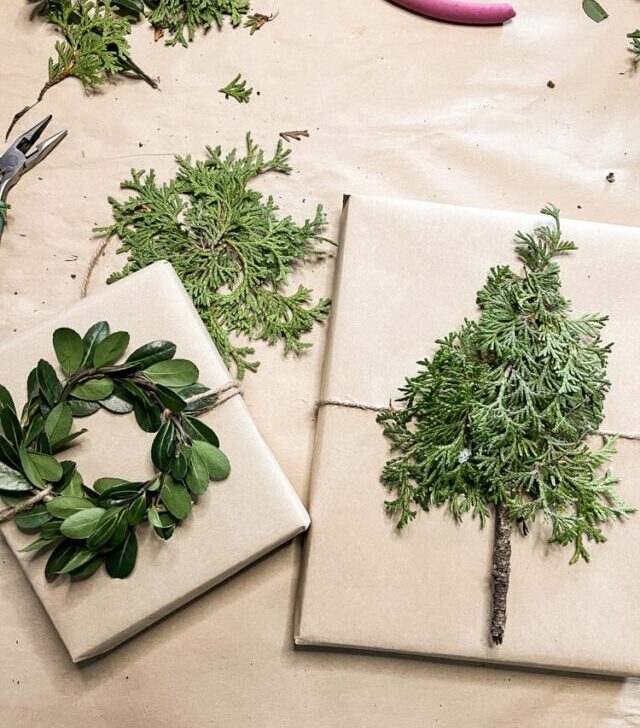 cropped-group-of-packages-with-natural-greenery.jpg