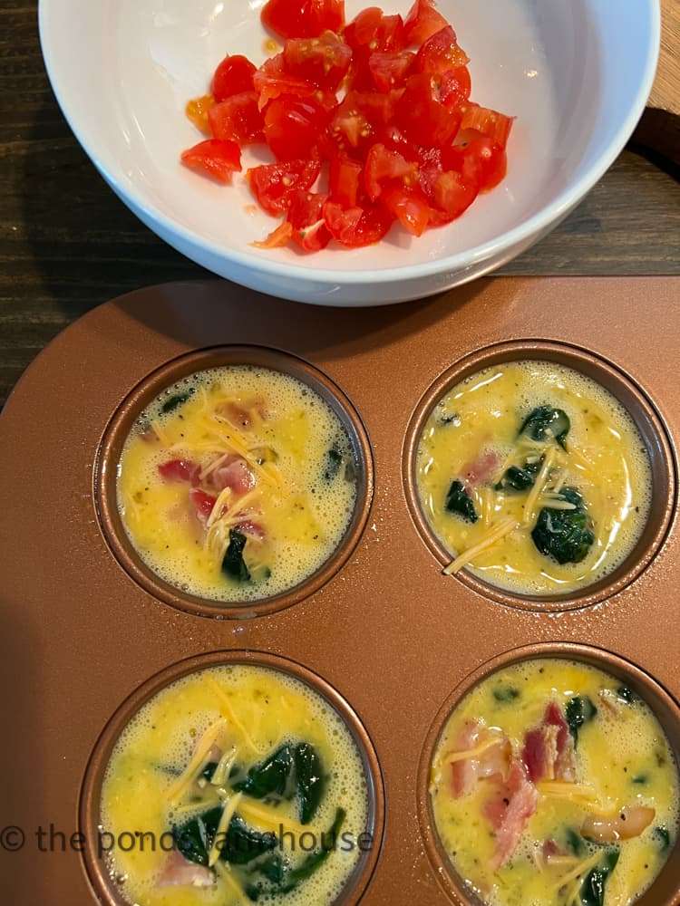 Fill muffin tins with bacon, egg, cheese, spinach, onion mixture.