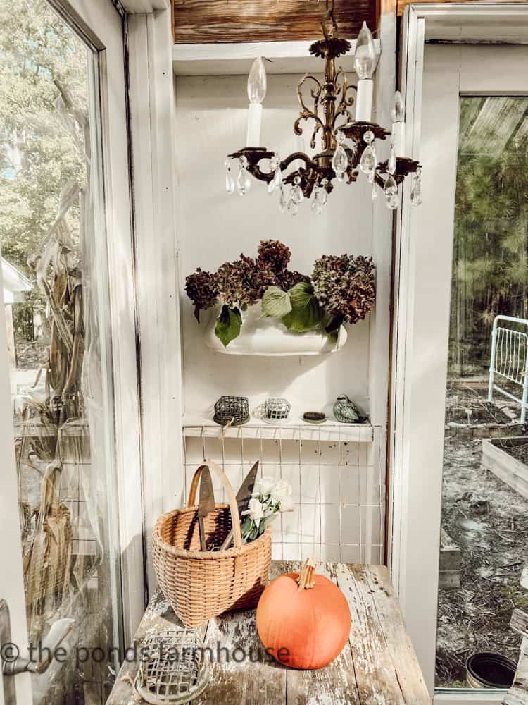 Free Thrift Store Chandelier with dried hydrangeas and pumpkin